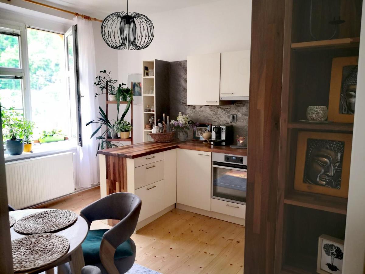 Apartmany Ivana Decin Exteriér fotografie