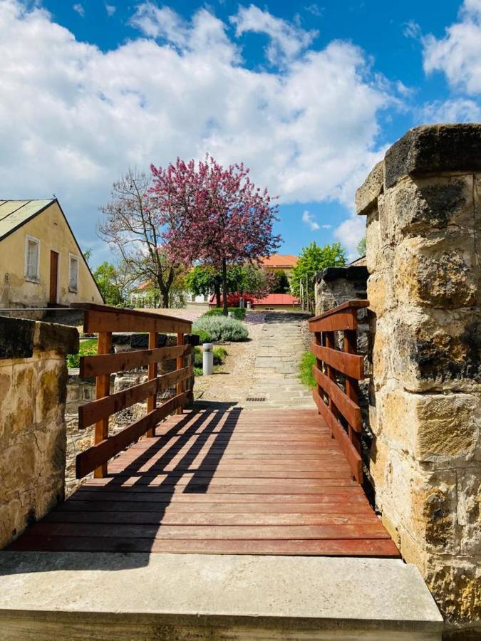 Apartmany Ivana Decin Exteriér fotografie